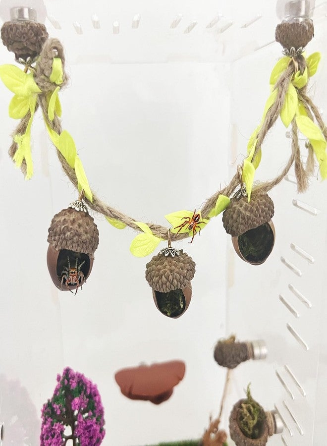 Daerky Jumping Spider Hide, Magnetic Climbing Rope Bridge, Handmade Real Acorn Hideaway Cave, Spider Platform, Decorative Accessory for Small Reptile Enclosures (Style 2) - Image 1
